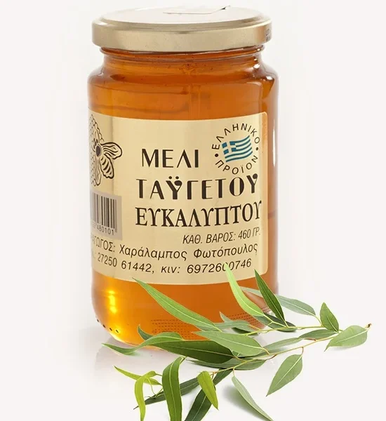 Miód eukaliptusowy 460 g